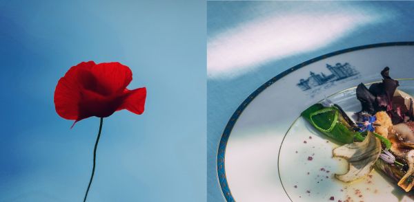 Image split in 2 : poppy on the left and gourmet dish on the right