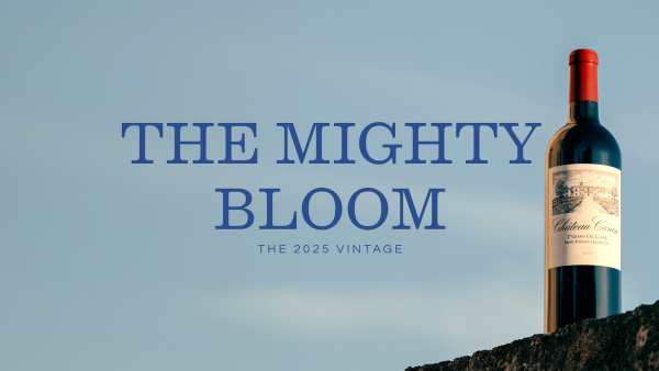 cover-canon-banner-mighty-bloom-nologo