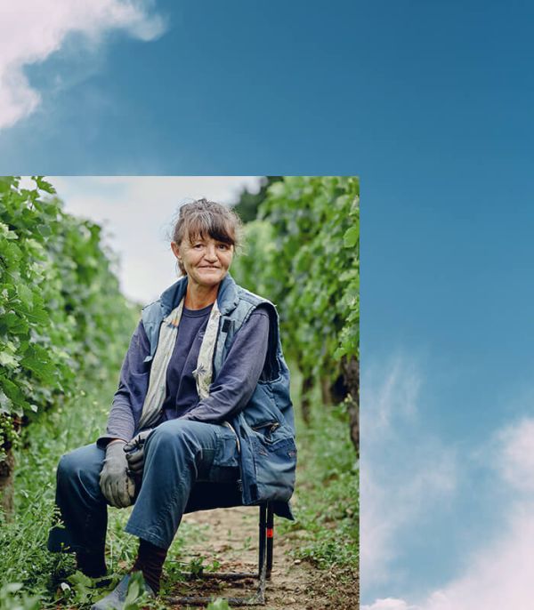 Portrait of a woman in the vineyards