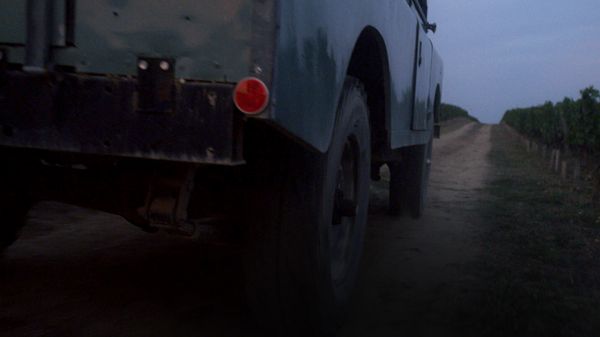 Back of a car on a trail in the vineyards